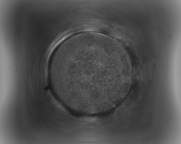 X0000085020247200703121548