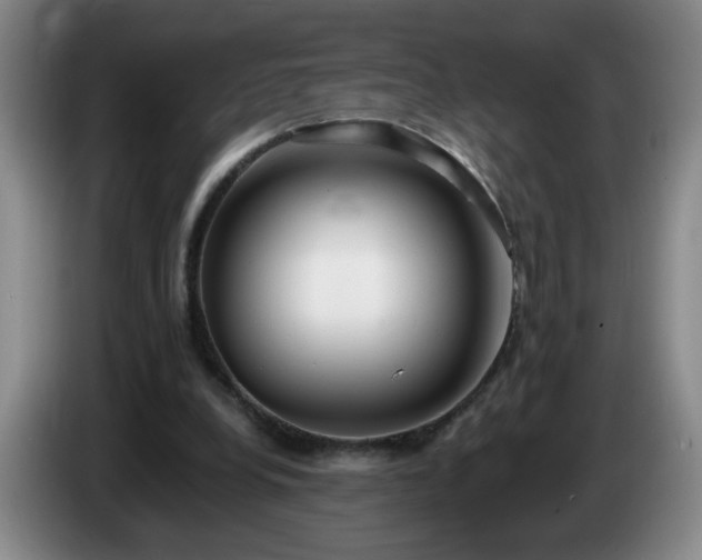 X0000085020248200703121548