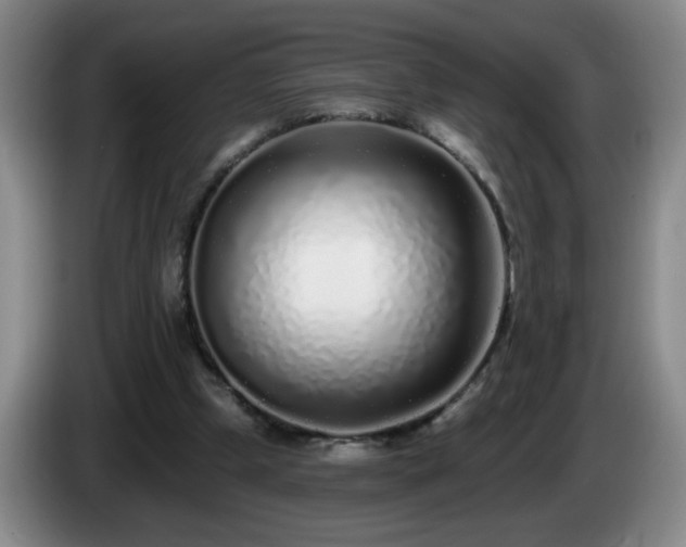 X0000085020249200703121548