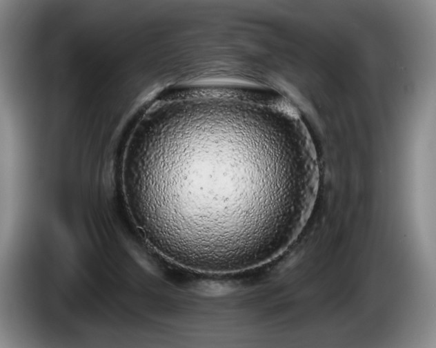 X0000085020250200703121548