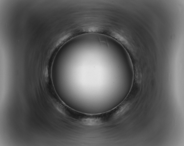 X0000085020251200703121548
