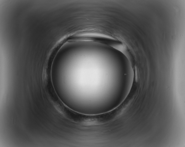 X0000085020252200703121548