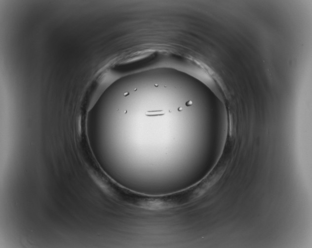 X0000085020253200703121548