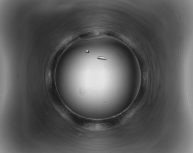 X0000085020254200703121548