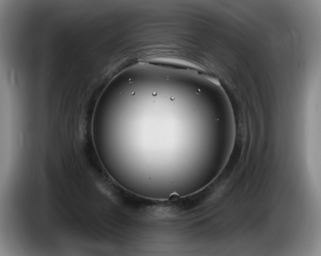 X0000085020255200703121548