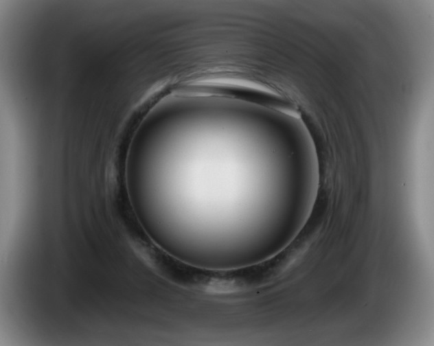 X0000085020256200703121548