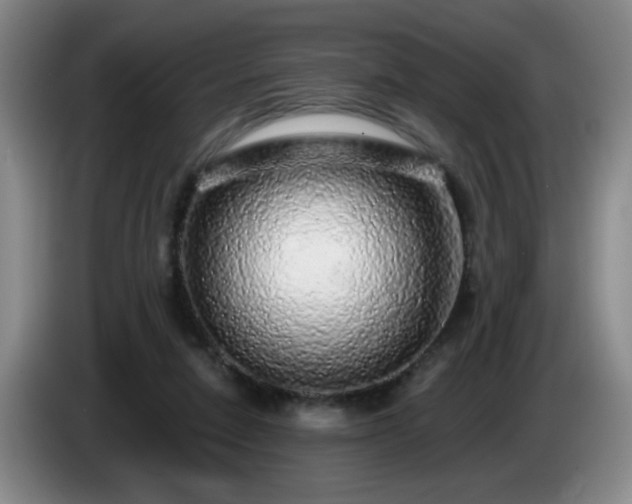 X0000085020258200703121548