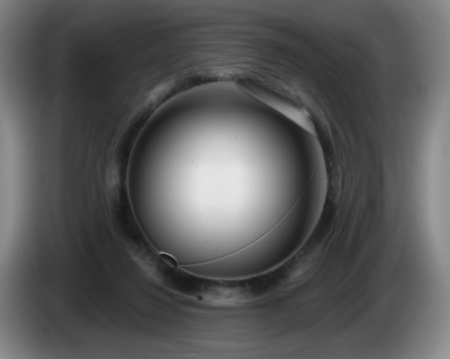 X0000085020260200703121549