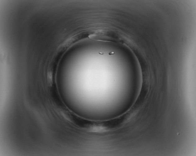 X0000085020262200703121549
