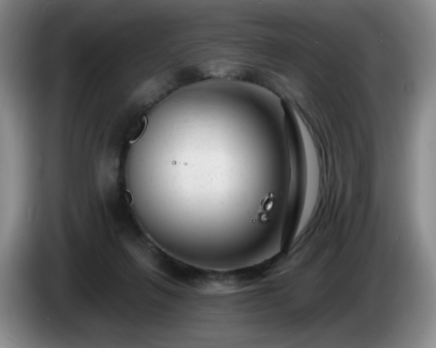 X0000085020263200703121549
