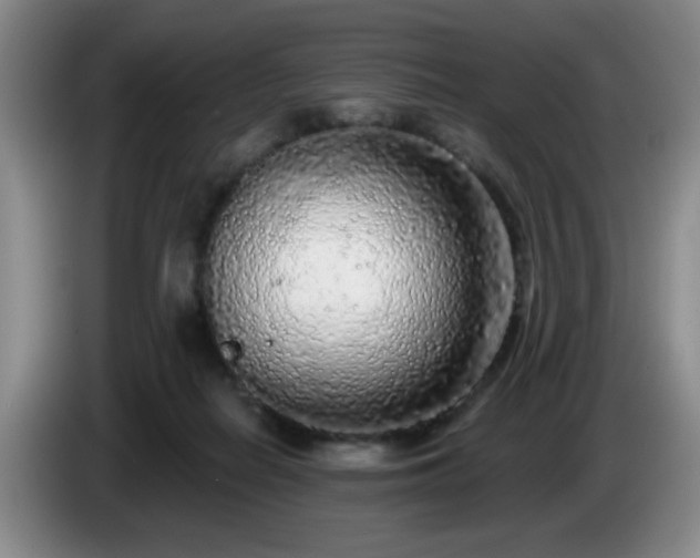 X0000085020266200703121549