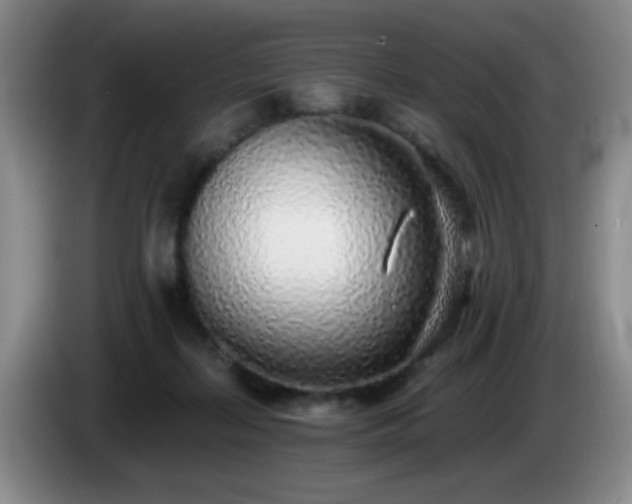 X0000085020267200703121549