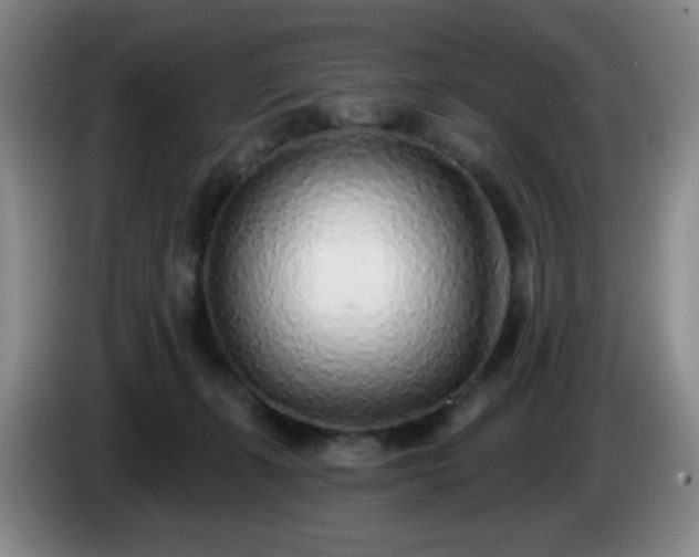 X0000085020271200703121549