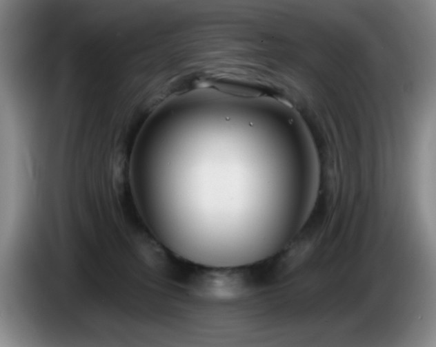 X0000085020275200703121549