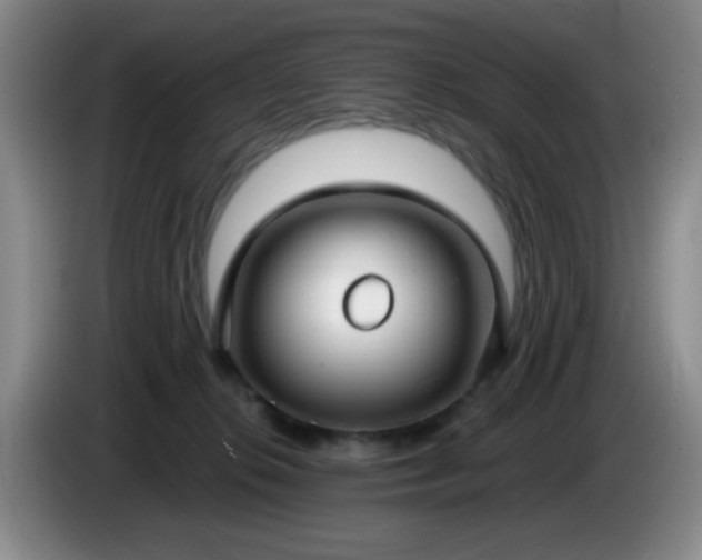 X0000085020276200703121549