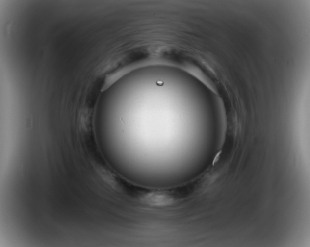 X0000085020280200703121549