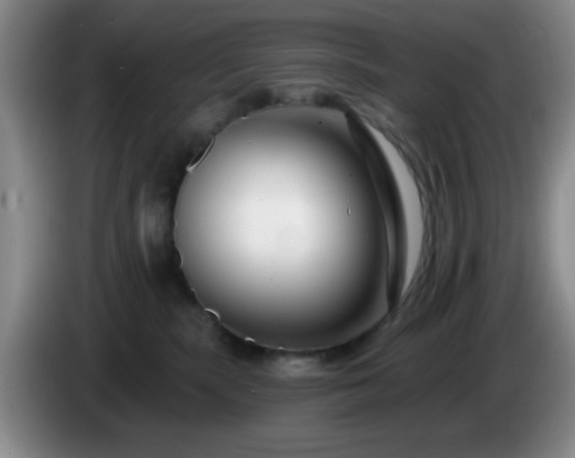 X0000085020283200703121549