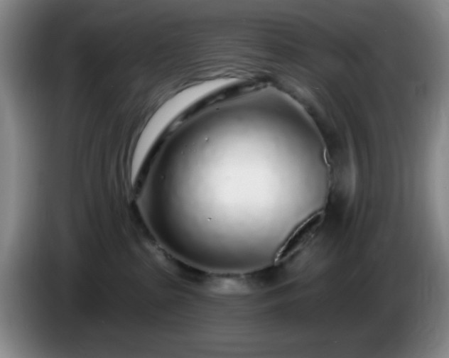 X0000085020285200703121549