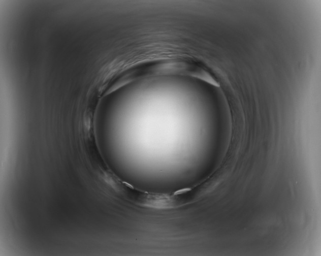 X0000085020288200703121549