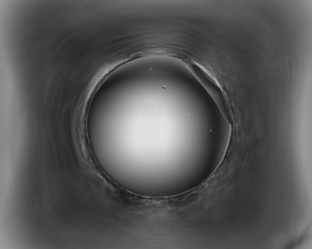 X0000085020289200703121548