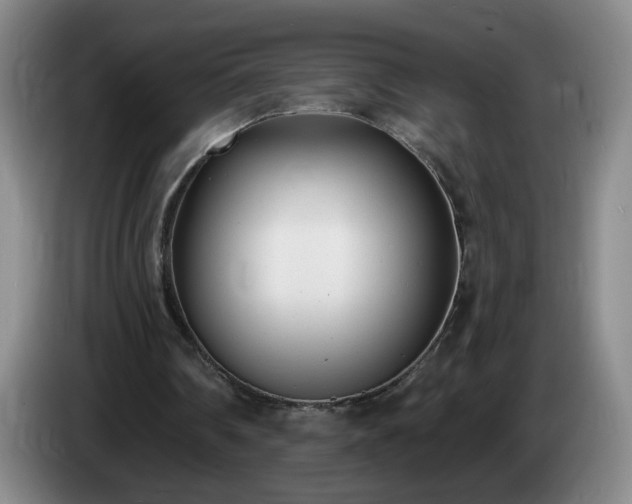 X0000085020290200703121548