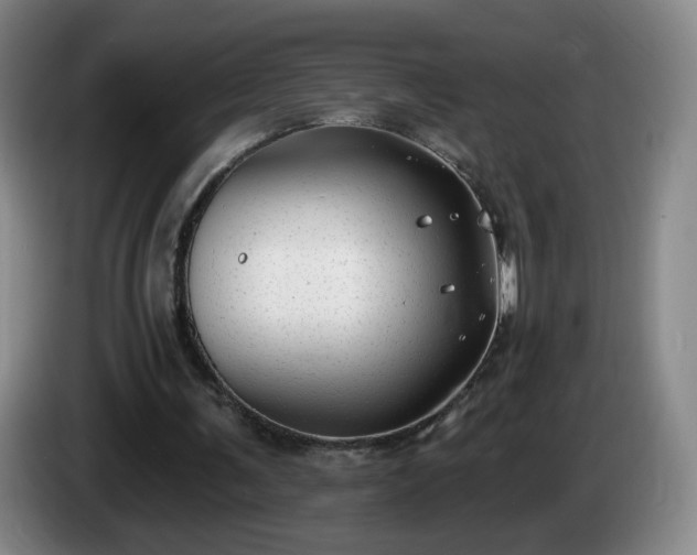 X0000085020291200703121548
