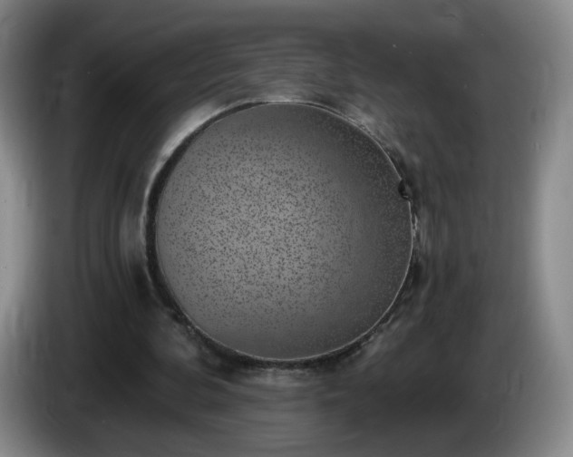 X0000085020292200703121548