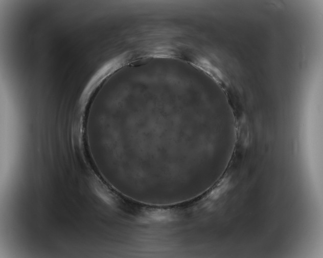 X0000085020293200703121548