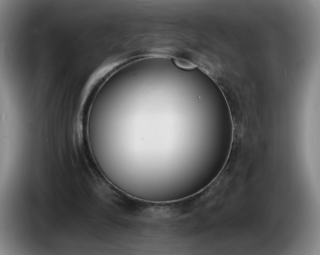X0000085020294200703121548