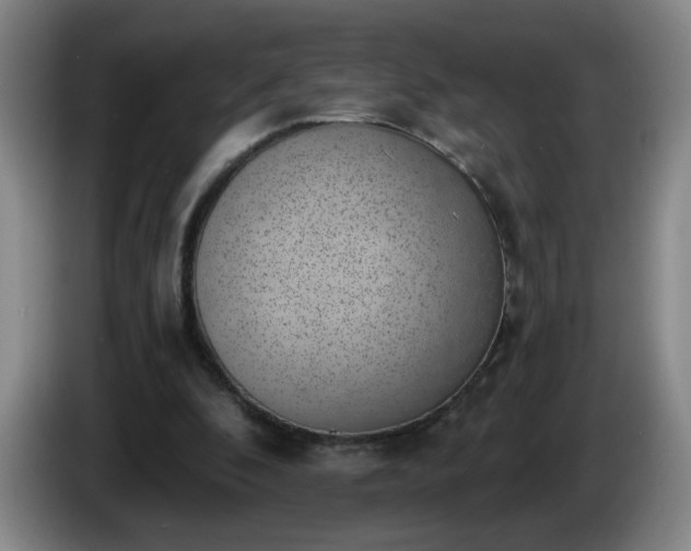 X0000085020296200703121548