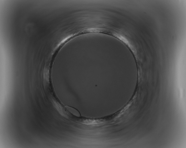 X0000085020297200703121548