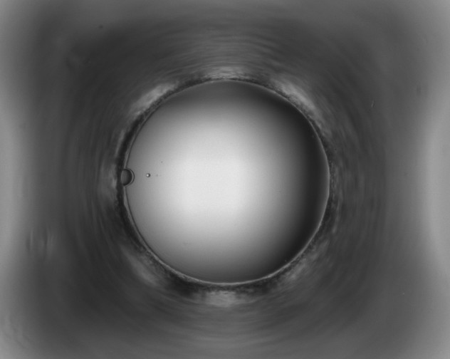 X0000085020298200703121548