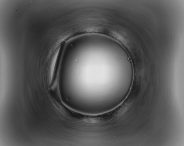 X0000085020299200703121548