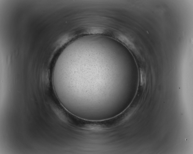 X0000085020300200703121548