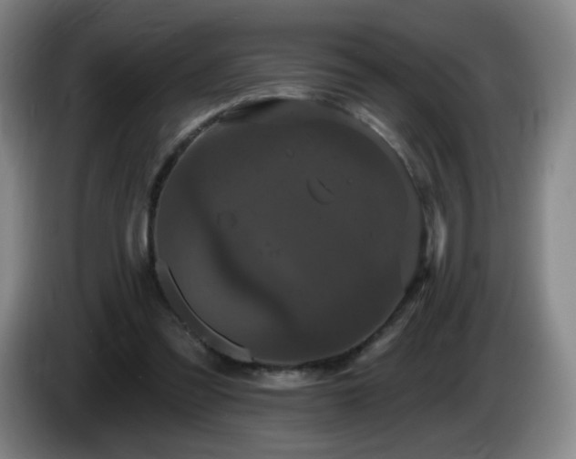 X0000085020301200703121548