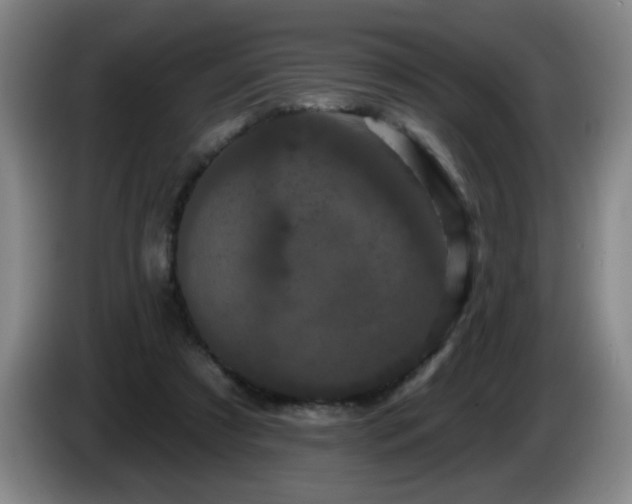 X0000085020305200703121548