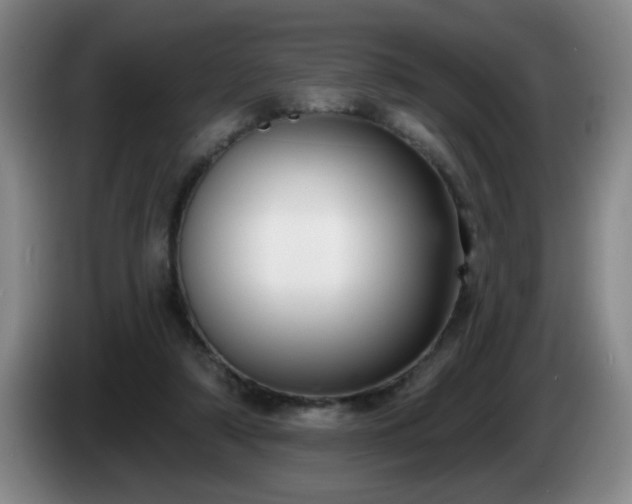 X0000085020306200703121548