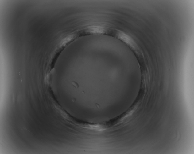 X0000085020309200703121548