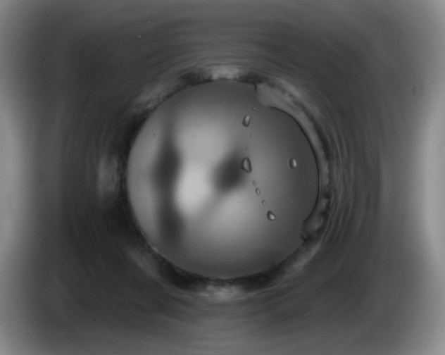 X0000085020311200703121548