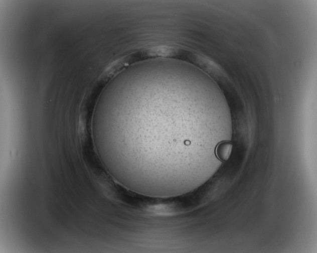 X0000085020312200703121548