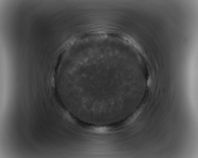 X0000085020313200703121548