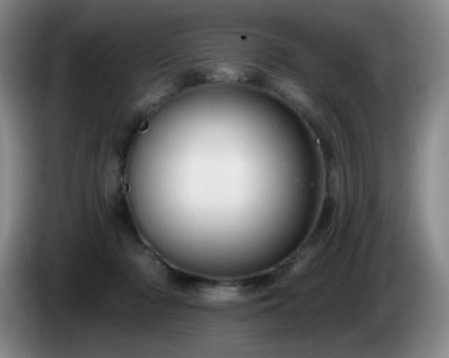 X0000085020318200703121548