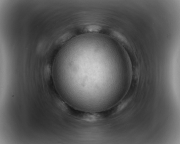 X0000085020321200703121548