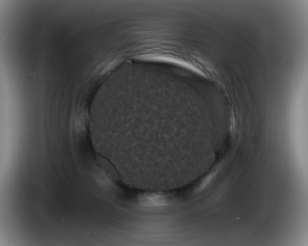 X0000085020325200703121548