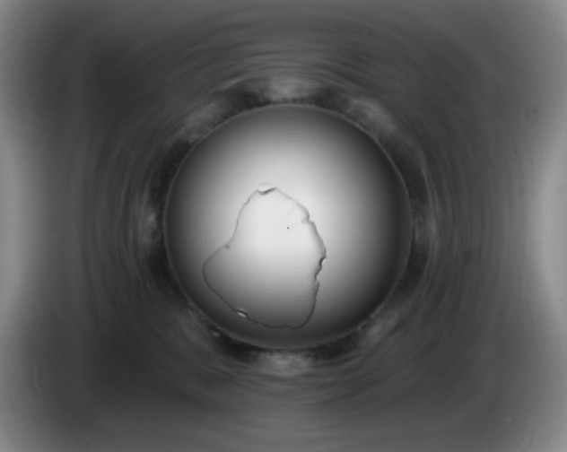 X0000085020327200703121548