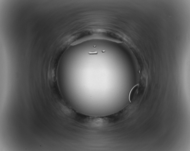 X0000085020330200703121548
