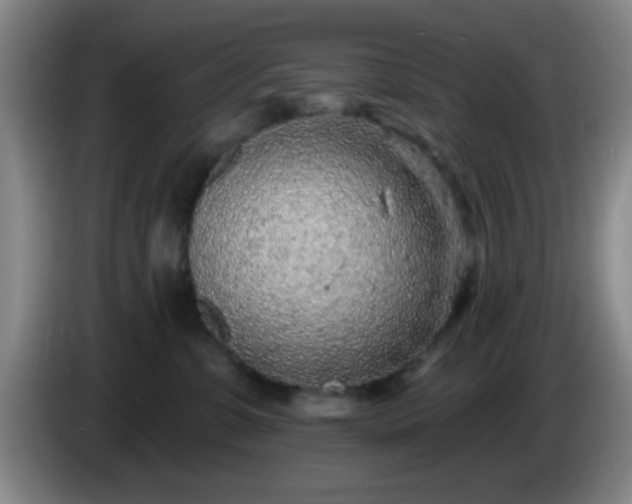 X0000085020331200703121548