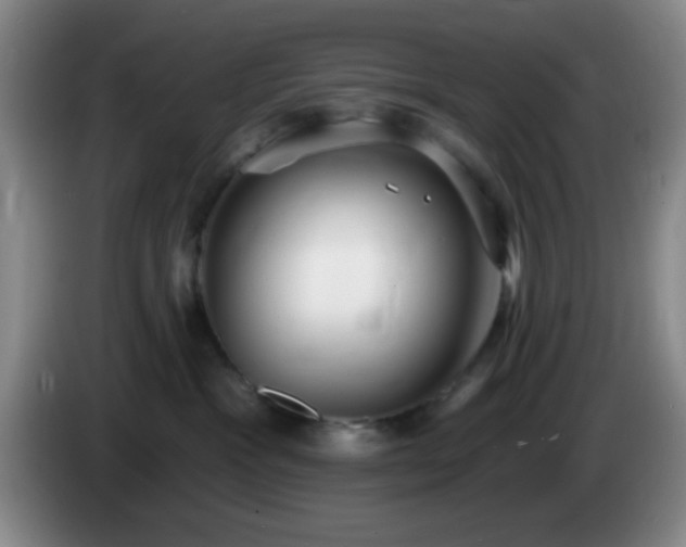 X0000085020333200703121548