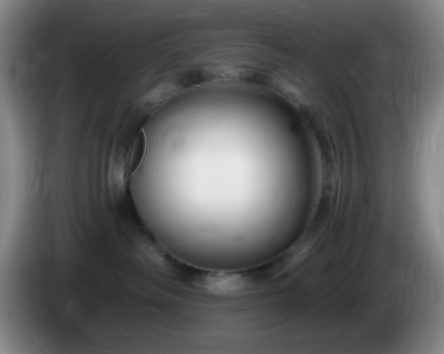 X0000085020334200703121548