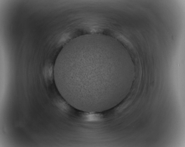 X0000085020336200703121548